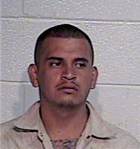 Hernandez David - Hidalgo County, TX 