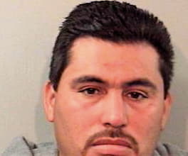 Hernandez Fernando - Leon County, FL 