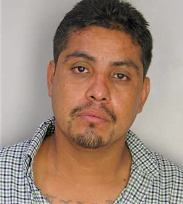 Gonzalez Gerardo - Hillsborough County, FL 