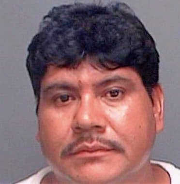 Castaneda J - Pinellas County, FL 
