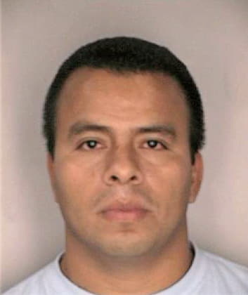 Ochoa Jose - Hillsborough County, FL 