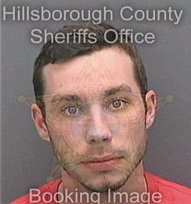 Schultz Drew - Hillsborough County, FL 