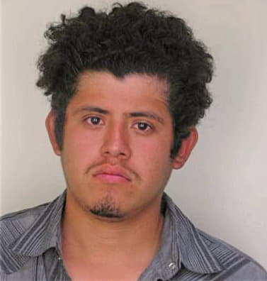 Sanchez Elias - Hillsborough County, FL 