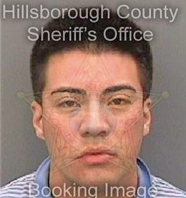 Guimaraescrespo Jairo - Hillsborough County, FL 