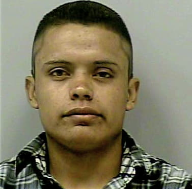 Alvarez-Vanegas Jose - Gwinnett County, GA 