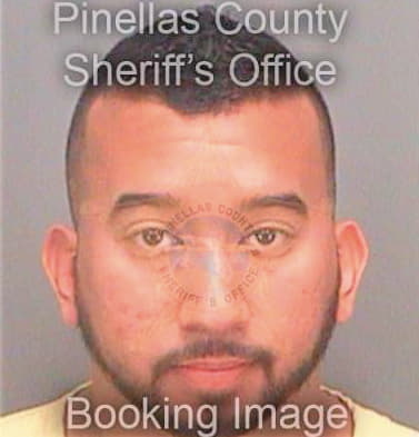 Ling Darryl - Pinellas County, FL 