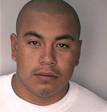 Alvarez Lorgnzo - Hillsborough County, FL 