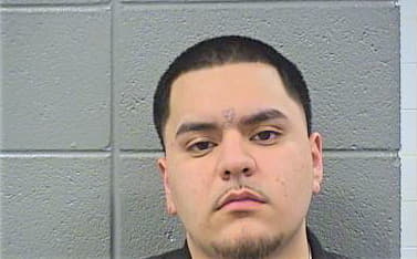 Arellano Alejandro - Cook County, IL 