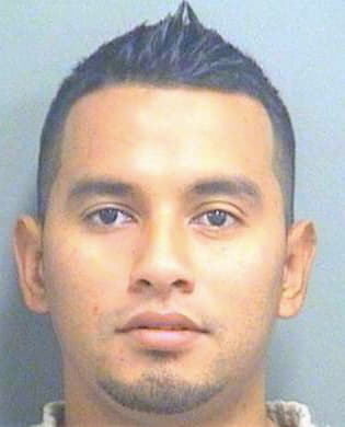 Trujillo Carlos - PalmBeach County, FL 