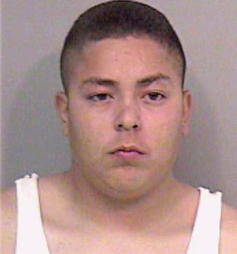 Alvarez Chris - Madera County, CA 