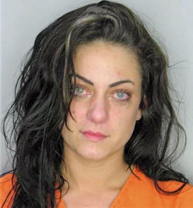 Armstrong Courtney - Hillsborough County, FL 