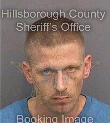 Michel David - Hillsborough County, FL 