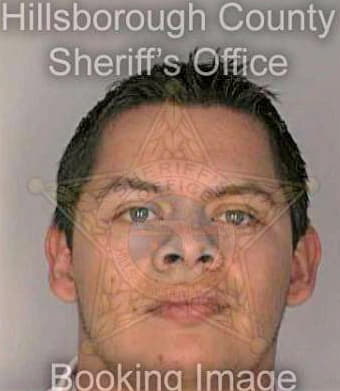 Gonzalez Esteban - Hillsborough County, FL 