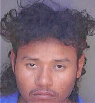 Gonzalez Pedro - Polk County, FL 