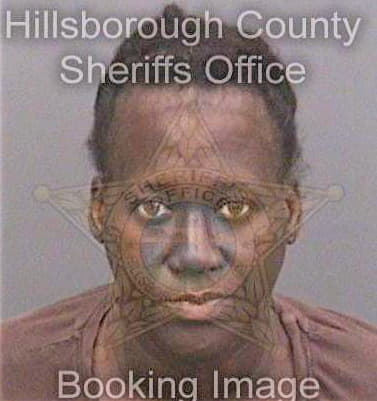 Fudge Shirley - Hillsborough County, FL 