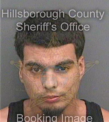Santiagocorrea Francisco - Hillsborough County, FL 