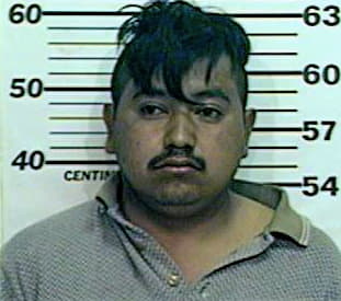 Diaz Miguel - Henderson County, TX 
