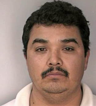 Lopez Ricardo - Hillsborough County, FL 
