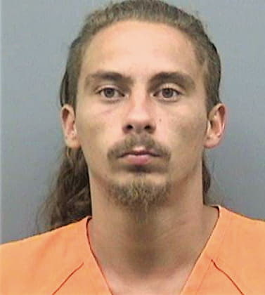Cosme Roberto - Hillsborough County, FL 
