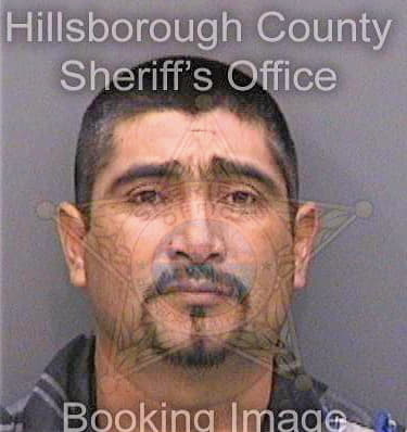Floresgarcia Rodolfo - Hillsborough County, FL 