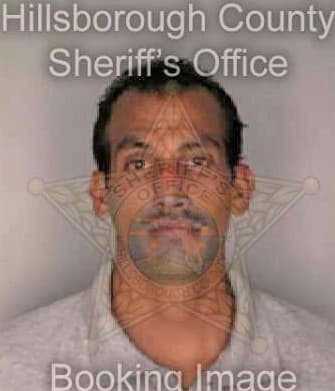 Ellis Steven - Hillsborough County, FL 