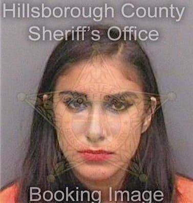 Snyder Andreina - Hillsborough County, FL 