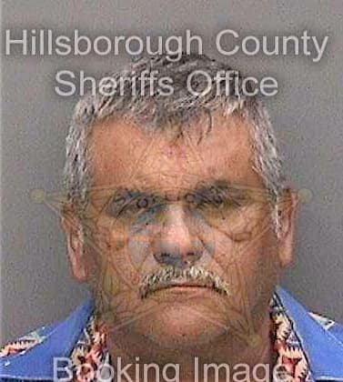 Suarezvences Mario - Hillsborough County, FL 