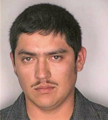 Pineda Otto - Hillsborough County, FL 