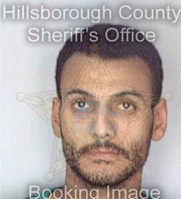 Diaz Wilfred - Hillsborough County, FL 