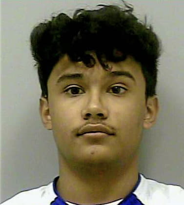 Lucena Anthony - Gwinnett County, GA 