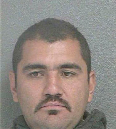 Aleman Apolonio - Wyandotte County, KS 
