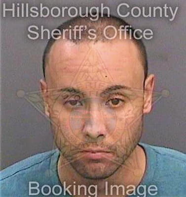 Martinezhernandez Carlos - Hillsborough County, FL 