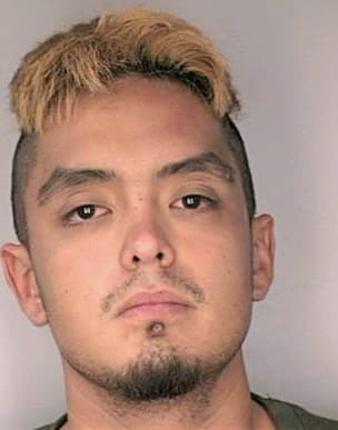 Gonzalez Marcelo - Hillsborough County, FL 