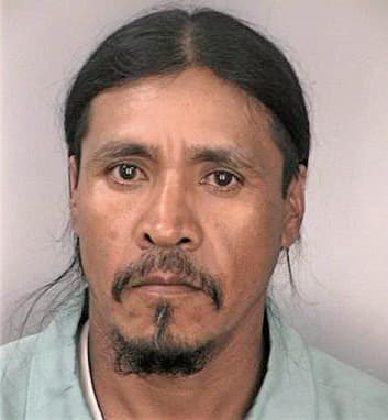 Leonramirez Miguel - Hillsborough County, FL 