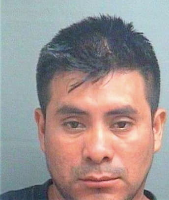 Lopezgarcia Sergio - PalmBeach County, FL 