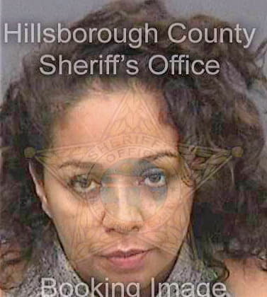 Silva Sol - Hillsborough County, FL 