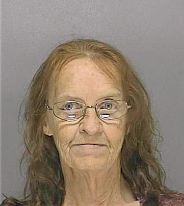 Colwell Susan - Volusia County, FL 
