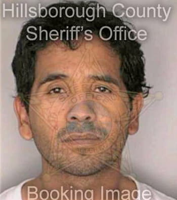 Arizpe Arturo - Hillsborough County, FL 