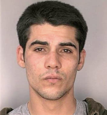 Antonelli Damon - Hillsborough County, FL 