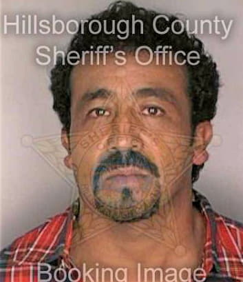 Gonzalez Francisco - Hillsborough County, FL 