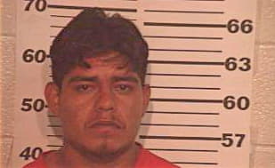 Deleon Jose - Hidalgo County, TX 