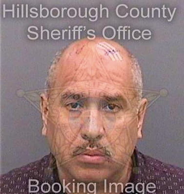Germosen Juan - Hillsborough County, FL 