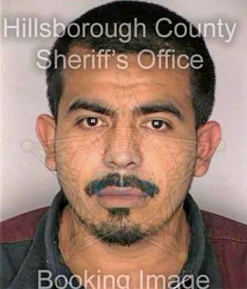 Medina Oscar - Hillsborough County, FL 