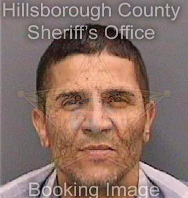 Rodriquezperez Rafael - Hillsborough County, FL 