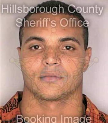 Brown Richard - Hillsborough County, FL 