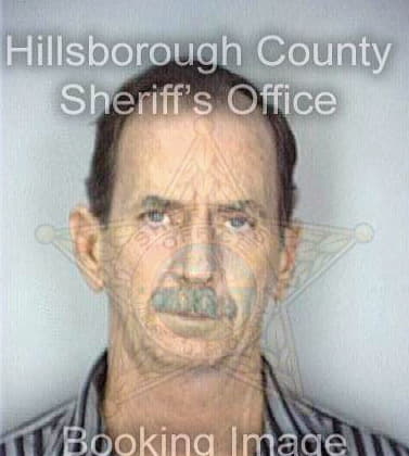 Simpson William - Hillsborough County, FL 
