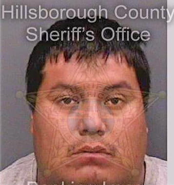 Velascocruz Mario - Hillsborough County, FL 
