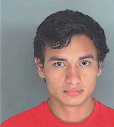 Barrera-Estrada David - Douglas County, GA 