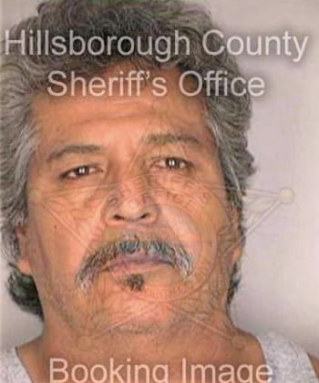 Coronado Luis - Hillsborough County, FL 