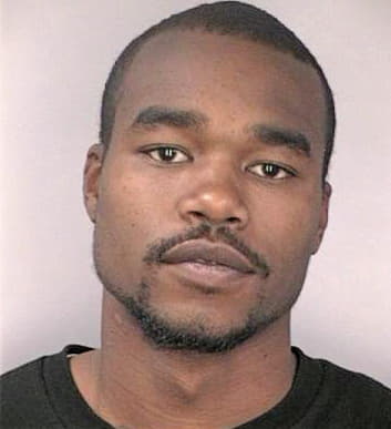Williams Michael - Hillsborough County, FL 